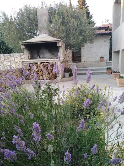 Apartmani Morovi Dvori Drage Bagian luar foto